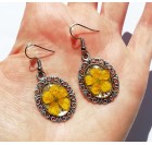 Cvetlični uhani - Travni&scaron;ke zlatice, gozdni koren