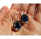 Zapestnica in DARILO (uhani) - gozdne spominčice, jetrnik, mah