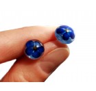 Cvetlični uhani - Torilnica - gozdna spominčica